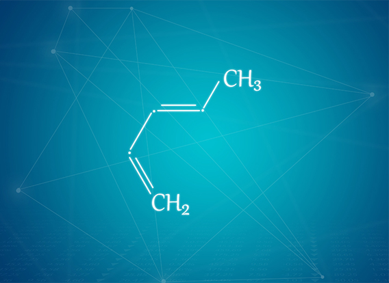 Piperylene-Zibo Luhua Hongjin New Material Group Co.,Ltd